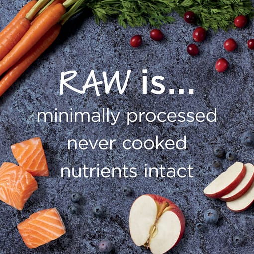 Instinct Raw Boost Grain-Free Recipe with Real Salmon Dry Dog Food 4lb - Image 4