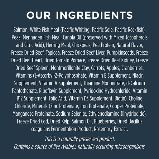Instinct Raw Boost Grain-Free Recipe with Real Salmon Dry Dog Food 4lb - Image 7