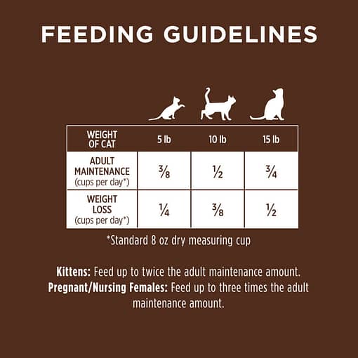 Instinct Original Grain-Free Recipe with Real Chicken Dry Cat Food (2 Sizes) - Image 9