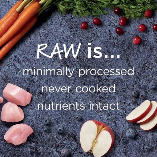 Instinct Raw Boost Indoor Grain-Free Recipe with Real Chicken Dry Cat Food 5lb - Image 4
