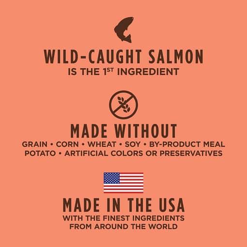 Instinct Original Grain-Free Recipe with Real Salmon Dry Cat Food (2 Sizes) - Image 3