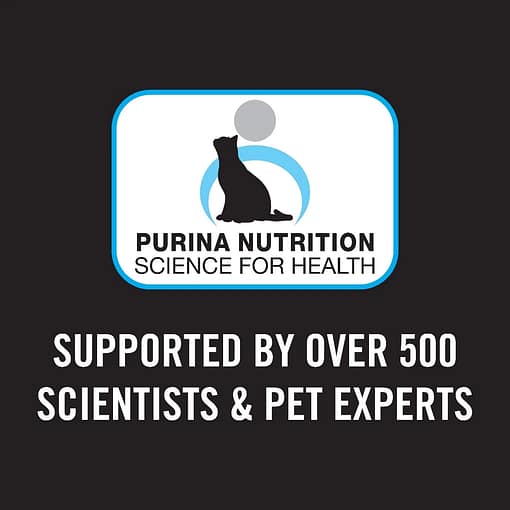 Purina PRO PLAN Kitten Chicken - Dry Cat Food (3 Sizes) - Image 6