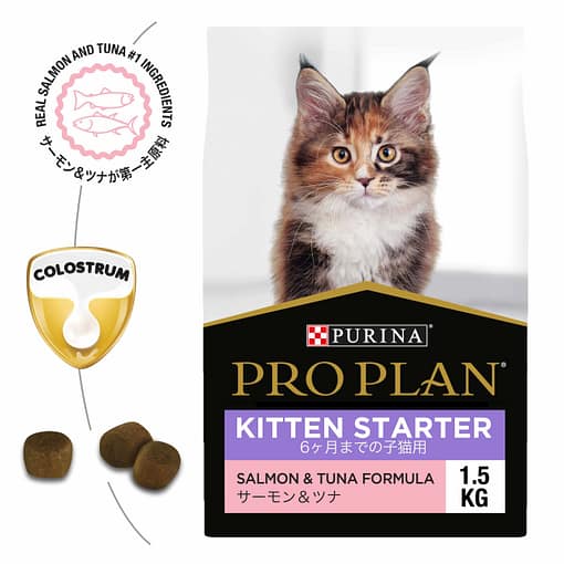 PURINA PRO PLAN Kitten Starter Salmon & Tuna - Dry Cat Food (2 Sizes) - Image 2