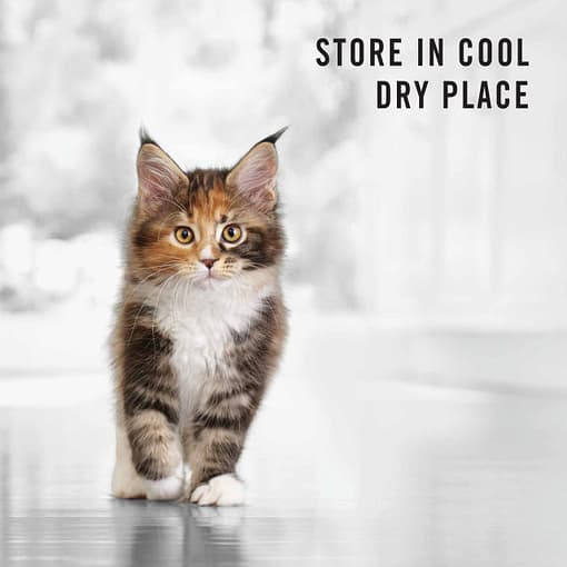 PURINA PRO PLAN Kitten Starter Salmon & Tuna - Dry Cat Food (2 Sizes) - Image 4