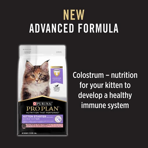 PURINA PRO PLAN Kitten Starter Salmon & Tuna - Dry Cat Food (2 Sizes) - Image 5