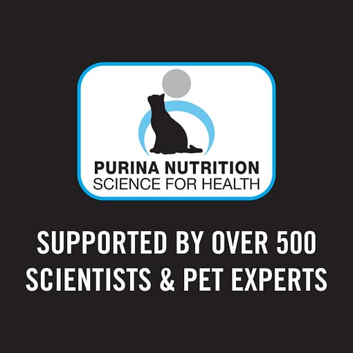 Purina PRO PLAN Adult Chicken - Dry Cat Food (3 Sizes) - Image 8