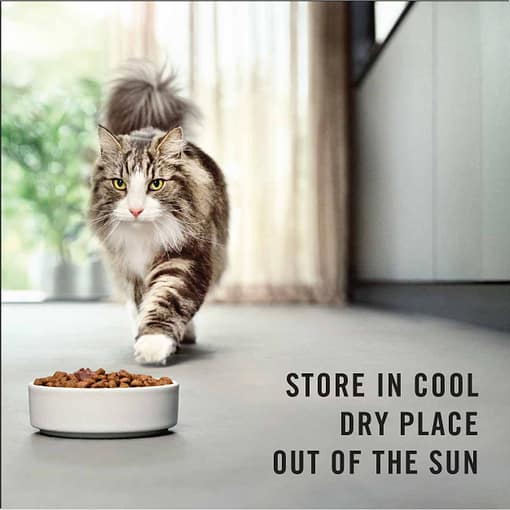 Purina PRO PLAN Adult LIVECLEAR Indoor Hairball Control Chicken Formula Dry Cat Food  3kg - Image 12
