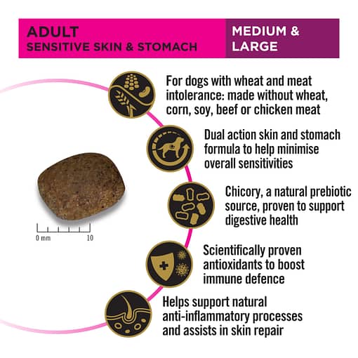Purina PRO PLAN Adult Medium & Large Sensitive Skin & Stomach Salmon & Mackerel Formula with Prebiotic Fibre - Dry Dog Food (2 Sizes) - Image 4