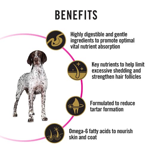 Purina PRO PLAN Adult Medium & Large Sensitive Skin & Stomach Salmon & Mackerel Formula with Prebiotic Fibre - Dry Dog Food (2 Sizes) - Image 3