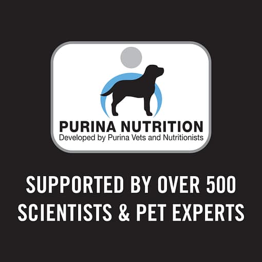 Purina PRO PLAN Adult Small & Toy Sensitive Skin & Stomach Salmon & Mackerel Formula with Prebiotic Fibre - Dry Dog Food (2 Sizes) - Image 8