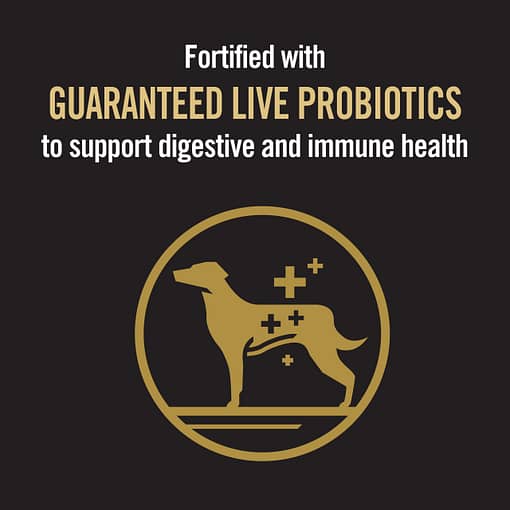 Purina PRO PLAN Adult Small & Toy Breed Chicken Formula with Probiotics and Prebiotics - Dry Dog Food (2 Sizes) - Image 8