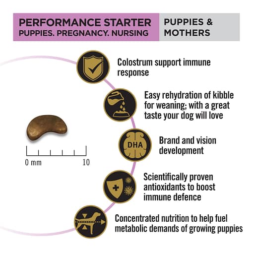 Purina PRO PLAN Puppies & Mothers Performance Starter - Dry Dog Food 12kg - Image 4