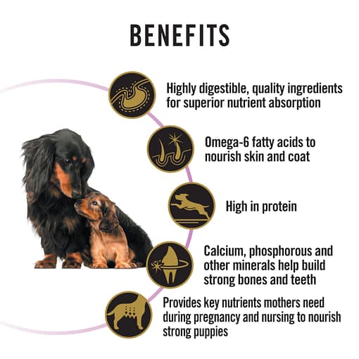 Purina PRO PLAN Puppies & Mothers Performance Starter - Dry Dog Food 12kg - Image 3