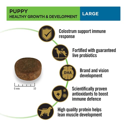 Purina PRO PLAN Puppy Large Chicken Formula with Colostrum and Probiotics - Dry Dog Food 3kg - Image 3