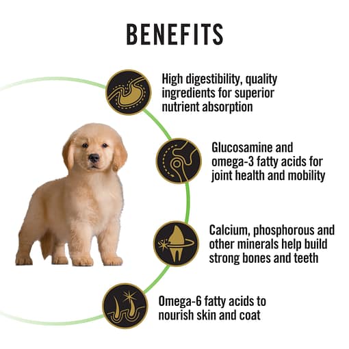 Purina PRO PLAN Puppy Large Chicken Formula with Colostrum and Probiotics - Dry Dog Food 3kg - Image 4