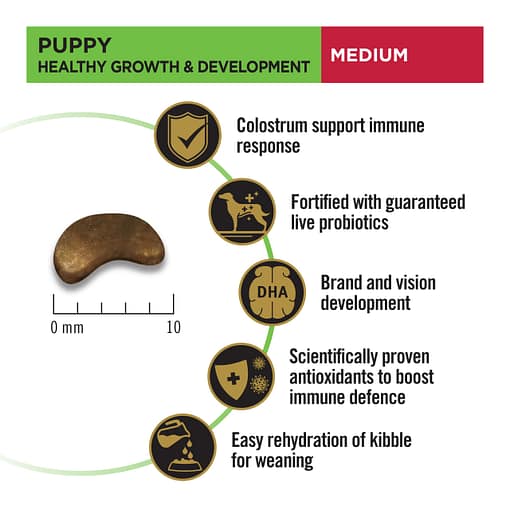 Purina PRO PLAN Puppy Medium Chicken Formula with Colostrum and Probiotics - Dry Dog Food (2 Sizes) - Image 3