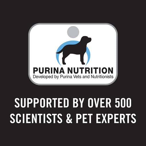 Purina PRO PLAN Puppy Sensitive Skin & Stomach Salmon & Mackerel Formula with Prebiotic Fibre - Dry Dog Food (2 Sizes) - Image 8