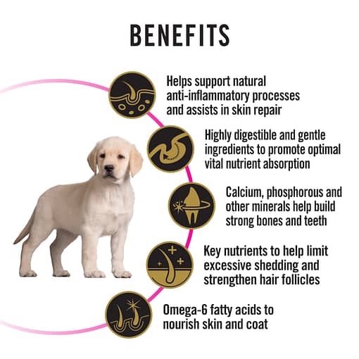 Purina PRO PLAN Puppy Sensitive Skin & Stomach Salmon & Mackerel Formula with Prebiotic Fibre - Dry Dog Food (2 Sizes) - Image 3