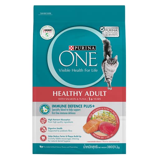 PURINA ONE Healthy Adult Salmon and Tuna​ - Dry Cat Food (2 Sizes)