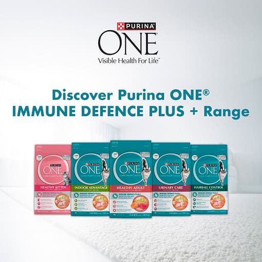 PURINA ONE Hairball Control Chicken - Dry Cat Food 1.2kg - Image 10