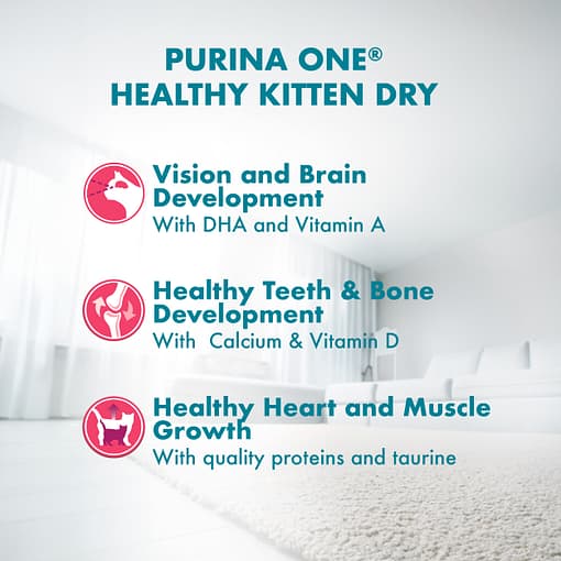 PURINA ONE Healthy Kitten With Chicken - Dry Cat Food (2 sizes) - Image 8
