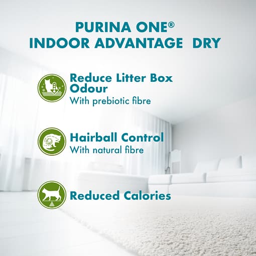 PURINA ONE Indoor Advantage Immune Defence Plus - Chicken Dry Cat Food (2 sizes) - Image 7