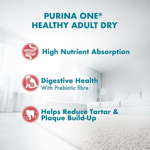 PURINA ONE Healthy Adult Salmon and Tuna​ - Dry Cat Food (2 Sizes) - Image 8