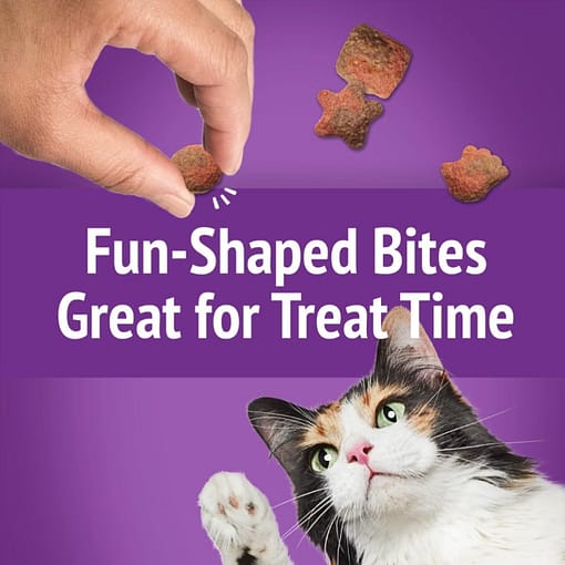 Purina FRISKIES Party Mix Gravy-licious Crunch Turkey & Gravy Cat Treats 60g - Image 3