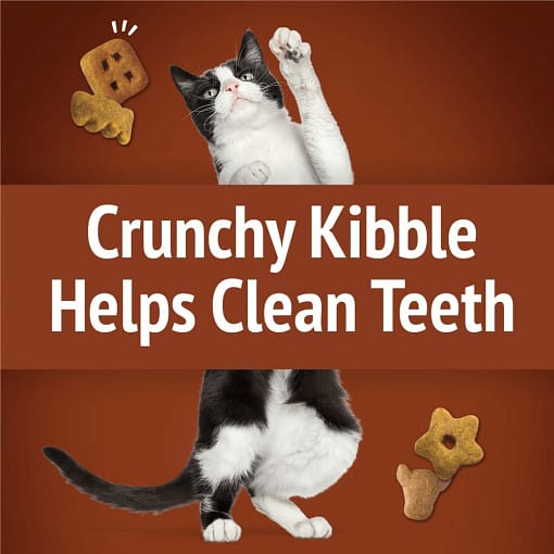Purina FRISKIES Party Mix Wild West Crunch Beef, Liver & Cheddar Flavors Cat Treats 60g - Image 3