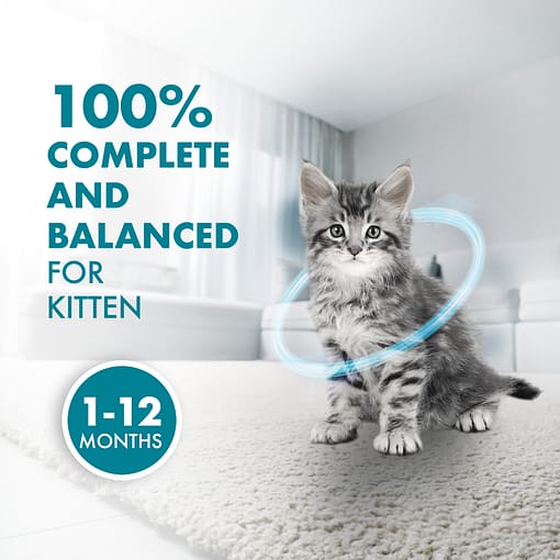 PURINA ONE Healthy Kitten With Chicken - Dry Cat Food (2 sizes) - Image 9