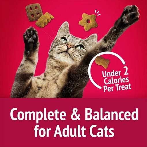 Purina Fancy Feast Petite Delights Grilled Salmon in gravy 50g - Image 2