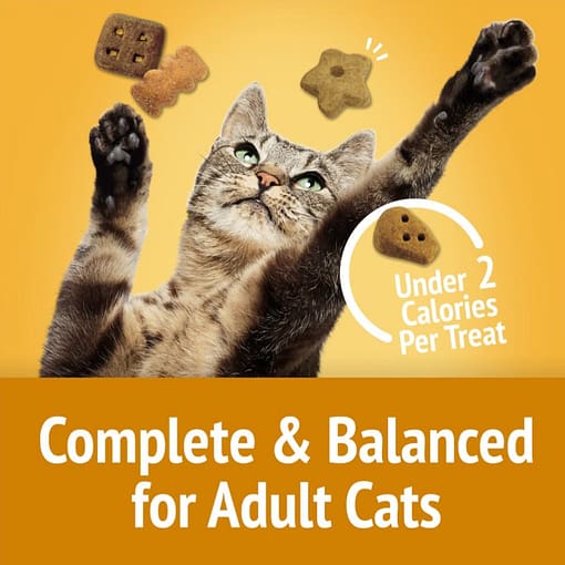 Purina FRISKIES Party Mix Cheezy Craze Crunch Cat Treats 60g - Image 3