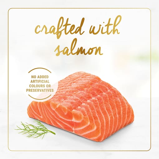 Purina Fancy Feast Classic Pate Savoury Salmon Feast Gourmet Wet Cat Food 85g - Image 5