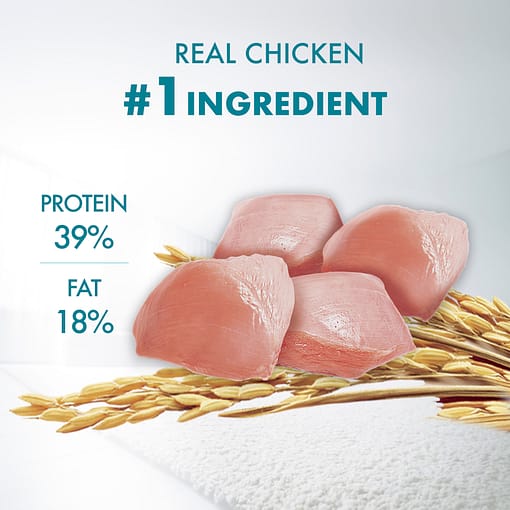 PURINA ONE Healthy Kitten With Chicken - Dry Cat Food (2 sizes) - Image 10
