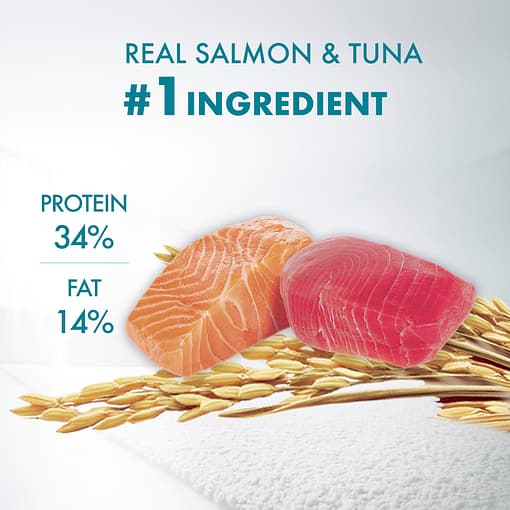 PURINA ONE Healthy Adult Salmon and Tuna​ - Dry Cat Food (2 Sizes) - Image 10