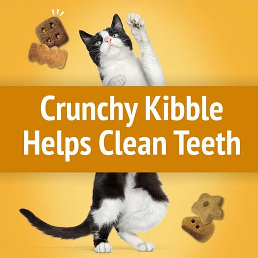Purina FRISKIES Party Mix Cheezy Craze Crunch Cat Treats 60g - Image 5