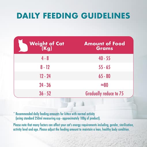 PURINA ONE Healthy Kitten With Chicken - Dry Cat Food (2 sizes) - Image 14