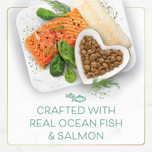 Purina Fancy Feast Ocean Fish & Salmon Gourmet Dry Cat Food (2 sizes) - Image 2