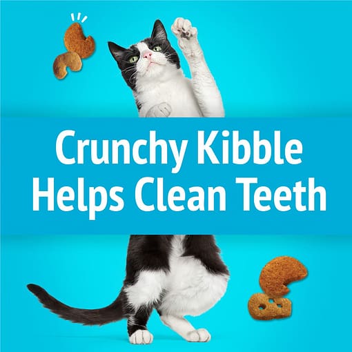Purina FRISKIES Party Mix Lobster & Mac ‘N’ Cheese Flavors Cat Treats 60g - Image 4
