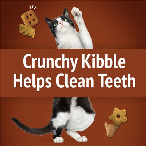Purina FRISKIES Party Mix Wild West Crunch Beef, Liver & Cheddar Flavors Cat Treats 60g - Image 5