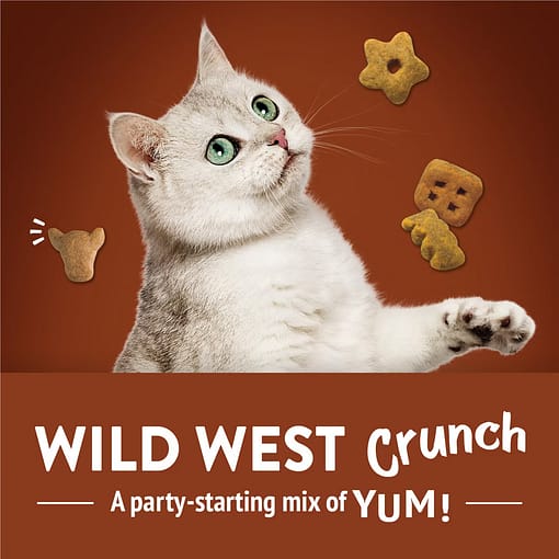 Purina FRISKIES Party Mix Wild West Crunch Beef, Liver & Cheddar Flavors Cat Treats 60g - Image 6
