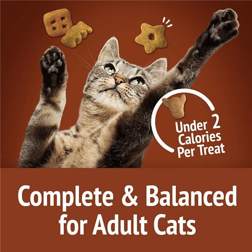 Purina FRISKIES Party Mix Wild West Crunch Beef, Liver & Cheddar Flavors Cat Treats 60g - Image 6