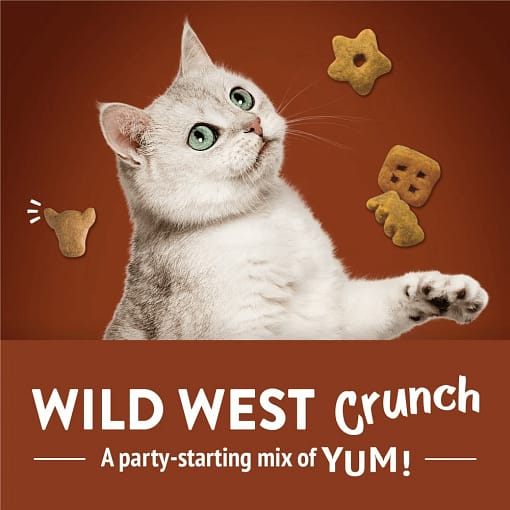 Purina FRISKIES Party Mix Wild West Crunch Beef, Liver & Cheddar Flavors Cat Treats 60g - Image 5