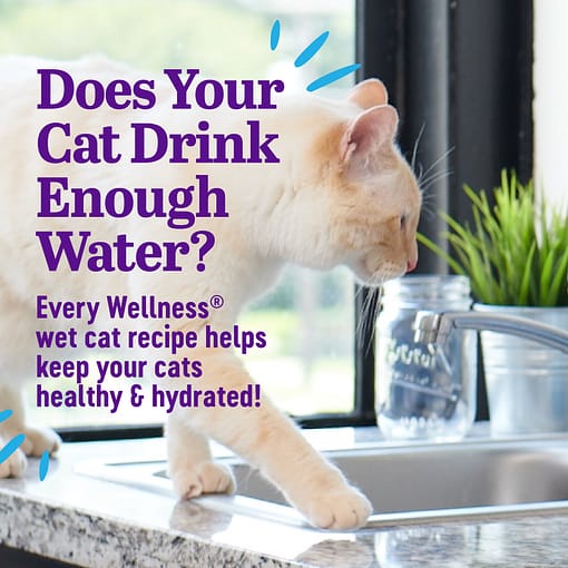 Wellness Appetizing Entrees Flaked Tuna Recipe Wet Cat Food (1.4oz) - Image 3