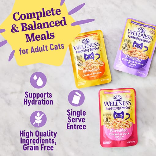 Wellness Appetizing Entrees Shredded Chicken & Salmon Recipe Wet Cat Food (1.4oz) - Image 6