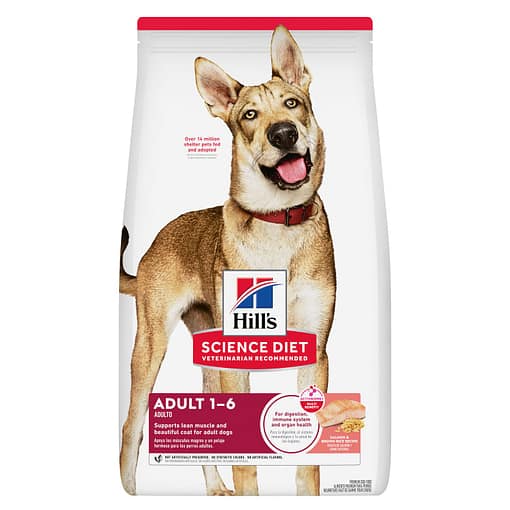 Hill's Science Diet Canine Adult Salmon & Brown Rice Recipe Dry Dog Food (2 Sizes) - Image 2