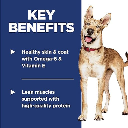 Hill's Science Diet Canine Adult Salmon & Brown Rice Recipe Dry Dog Food (2 Sizes) - Image 6