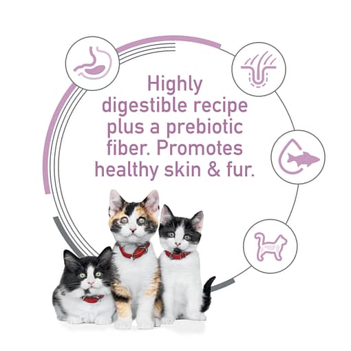 Hill's Science Diet Feline Kitten Sensitive Stomach & Skin Salmon & Rice 3.5lb - Image 6