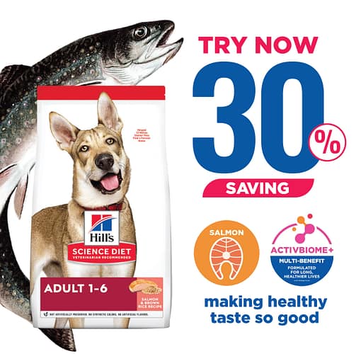 Hill's Science Diet Canine Adult Salmon & Brown Rice Recipe Dry Dog Food (2 Sizes)