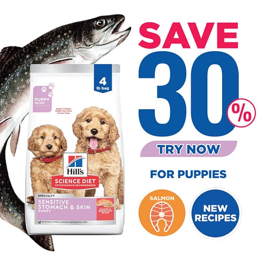Hill's Science Diet Puppy Sensitive Stomach & Skin Salmon & Brown Rice Dry Dog Food 4lb
